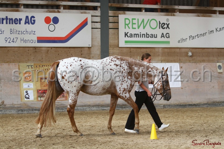 24-ApHC HIH_004.jpg